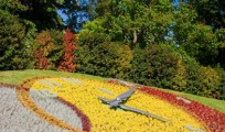 Flower Clock